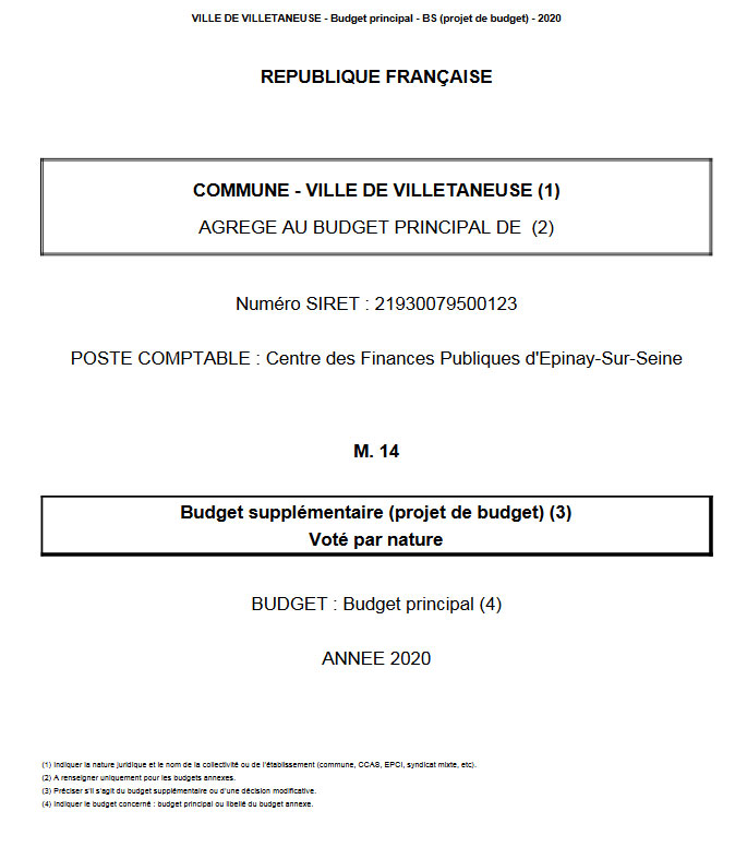 Budget supplémentaire 2020 - Voté par nature