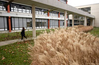 Campus université